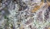 WIN_20220114_15_05_00_Pro.jpg