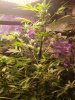 20220127_024634.jpg