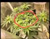 Screenshot_20220127-080157~4.png