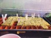 20220127_102629.jpg
