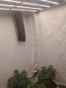 IMG_20220128_073755355.jpg