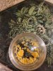 20220128_074657.jpg