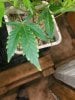 20220130_170532.jpg