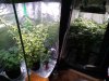 IMG_20220130_192539787.jpg