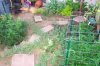 grow 135.jpg
