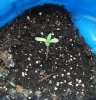 20220209_033511.jpg 20220209_033511.jpg