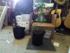 I bought these gallon size material bags and am transplanting from the styrofoam cups. They we...jpg I bought these gallon size material bags and am transplanting from the styrofoam cups. They we...jpg