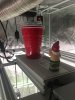 7C045136-8E5D-4F00-9AB0-7DD9D2B8B26C.jpeg