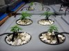 100_1686.jpg