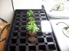 100_1687.jpg