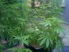 Outdoor 042.jpg