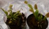 20220220_103237.jpg