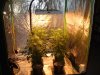 DSCF2324.JPG