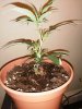 IMG_20220304_033345.jpg