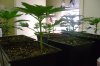 week five 002.1.jpg