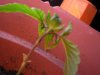CIMG0712.JPG