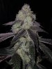 20220310_065711.jpg