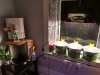 IMG_20220308_203408.jpg
