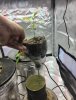 20220322_175427.jpg 20220322_175427.jpg