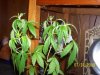 100_3409.jpg