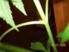 100_3412.jpg