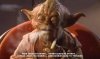 Stoner-Yoda-marijuana-270203_494_293.jpg