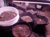 IMG_20220224_051157.jpg
