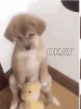 1648680402027.gif