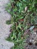 IMG_20220405_175824.jpg