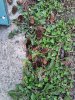 IMG_20220405_175829.jpg