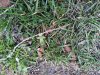IMG_20220405_175836.jpg