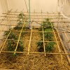 20220406_095638.jpg