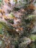 20220405_084148.jpg 20220405_084148.jpg