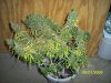 100_0570.jpg