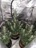 20220414_094516.jpg