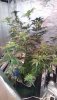 20220328_160806_Burst01(1).jpg