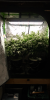 20220417_145940_HDR_scrubbed.png