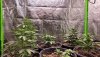 April_20_2022_Warmer_Weather_2.jpg