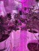 Compress_20220420_151917_7500.jpg