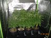 DSCN3218.JPG