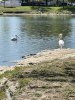 A3947569-785B-4F75-8FC1-74BDE74BD157.jpeg
