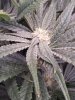 20220425_210412.jpg 20220425_210412.jpg