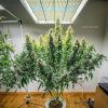 TS-3000 harvest.jpg TS-3000 harvest.jpg