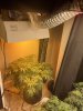 610E4263-FDA5-42B9-9870-9A5B72DADE13.jpeg