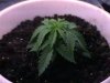 baby#3.jpg