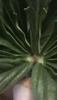 Screenshot_20220509-104837.png