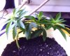 IMAGE_00008.jpg