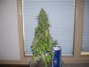 100_2259.jpg