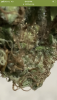 845AEBD6-E8C5-42DC-A2E1-98F23BE68337.png