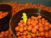DSCF0961 [HDTV (1080)].jpg